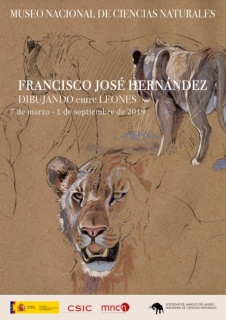 Francisco José Hernández. Dibujando entre leones
