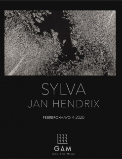 Jan Hendrix. Sylva