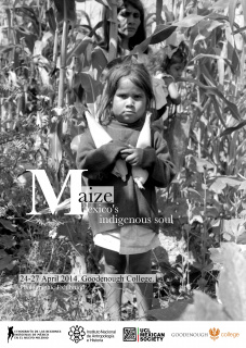 Maize, Mexico's indigienous soul