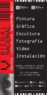 V Bienal de Yucatan 2011