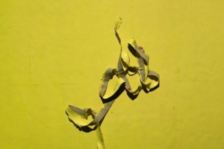 Animated Painting