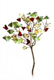María Fernanda Cardoso, Arbolito - Little tree, Ed. 2/5 [Edition of 5 + 2AP], 2010. Digital pigment print on 300 gr. cotton