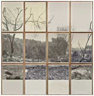 Jerry Martin. Indented Landscape. 230 x 255 cm. 2013-2015
