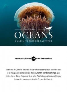 Oceans, l'últim territori salvatge