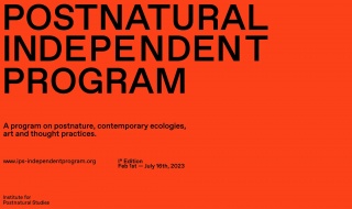 Postnatural Independent Program