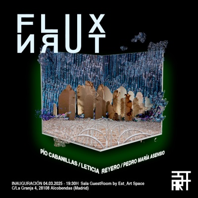 FluxTurn_EST_ART Space