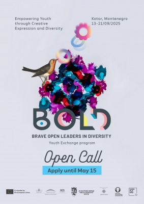 BOLD youth exchange 2025