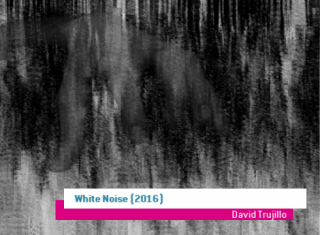 David Trujillo, White Noise, 2016