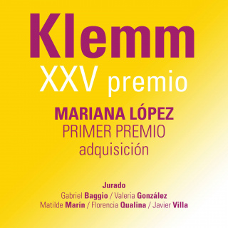 XXV Premio Fundación Federico Jorge Klemm a las Artes Visuales
