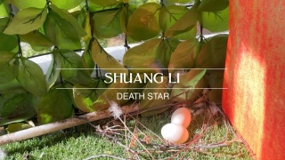 Shuang Li. Death Star