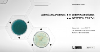 Esther Pizarro. Ecologías fragmentadas
