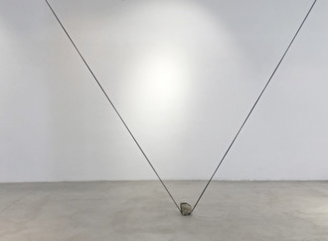 Oxalis — Cortesía del Centro Cultural Andratx
