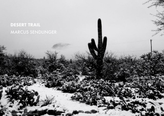 Marcus Sendlinger. Desert Trail