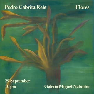 Pedro Cabrita Reis. Flores