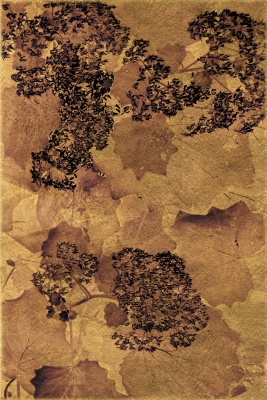 Albarrán Cabrera — Imagen cortesía de la Galería Elvira González