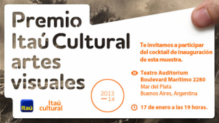 Premio Itaú Cultural artes visuales