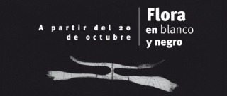FLORA EN BLANCO Y NEGRO. INDAGACIONES SOBRE QUÉ ES UNA FLOR EN EL MUSEO NACIONAL DE COLOMBIA