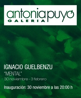 Ignacio Guelbenzu. Mental