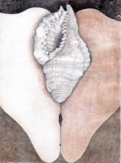 The Shell (La caracola), 1979. Graphite, colored pencil and gouache on paper. 13 3/4 x 10 1/8 in. (35.5 x 26 cm)