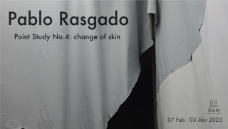 Pablo Rasgado. Paint Study No.4: change of skin