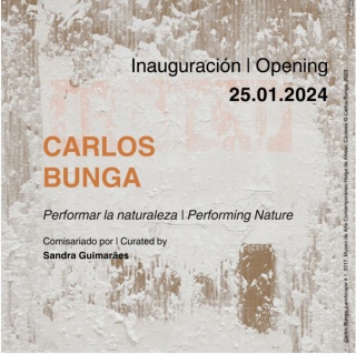 Carlos Bunga. Performar la naturaleza