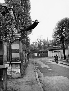 Un salto al vacío. Yves Klein y el nuevo arte del siglo XX