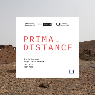 Primal Distance