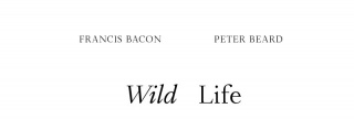 Francis Bacon - Peter Beard. Wild LIfe