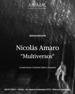 Nicolás Amaro. Multiversos