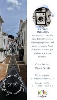 La revelación de las formas