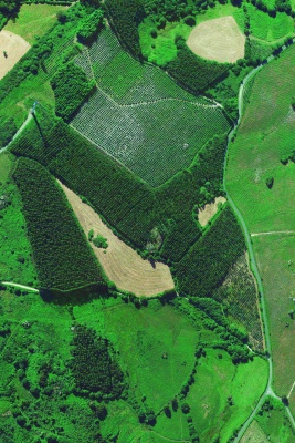 Inventario de geometría continua © Catara Rego — Imagen cortesía de PHotoESPAÑA
