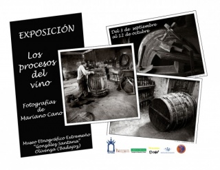 Cartel exposición \"Los procesos del vino\"