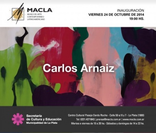 Carlos Arnaiz
