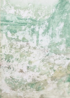 Pedro Vaz, Laurissilva, tinta acrílica sobre papel, 160x114 cm., 2013