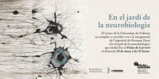 Rossana Zaera, En el jardí de la neurobiologia