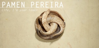 Pamen Pereira - Life, I'm your lover
