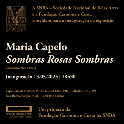 Sombras Rosas Sombras