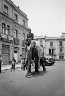 Juan Guzmán, Hombre montado en un elefante, ciudad de México, 1942