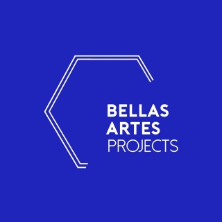 Bellas Artes Projects (BAP)