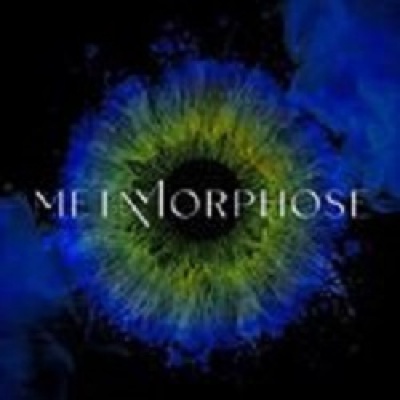 Metamorphose Gallery