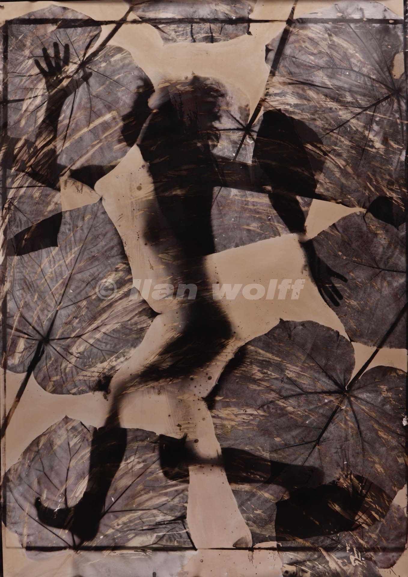 Creation no. 2 (2007) - Ilan Wolff