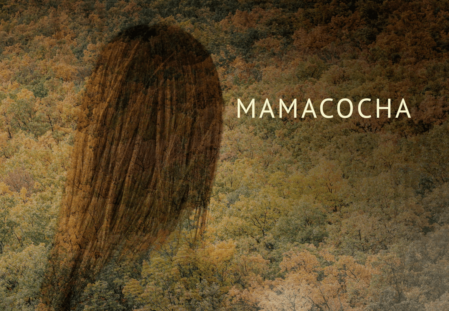 MAMACOCHA (2020) - Ana Belen Jarrin