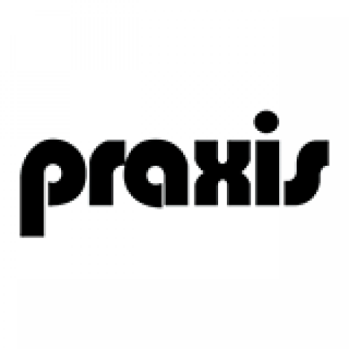 Praxis International Art
