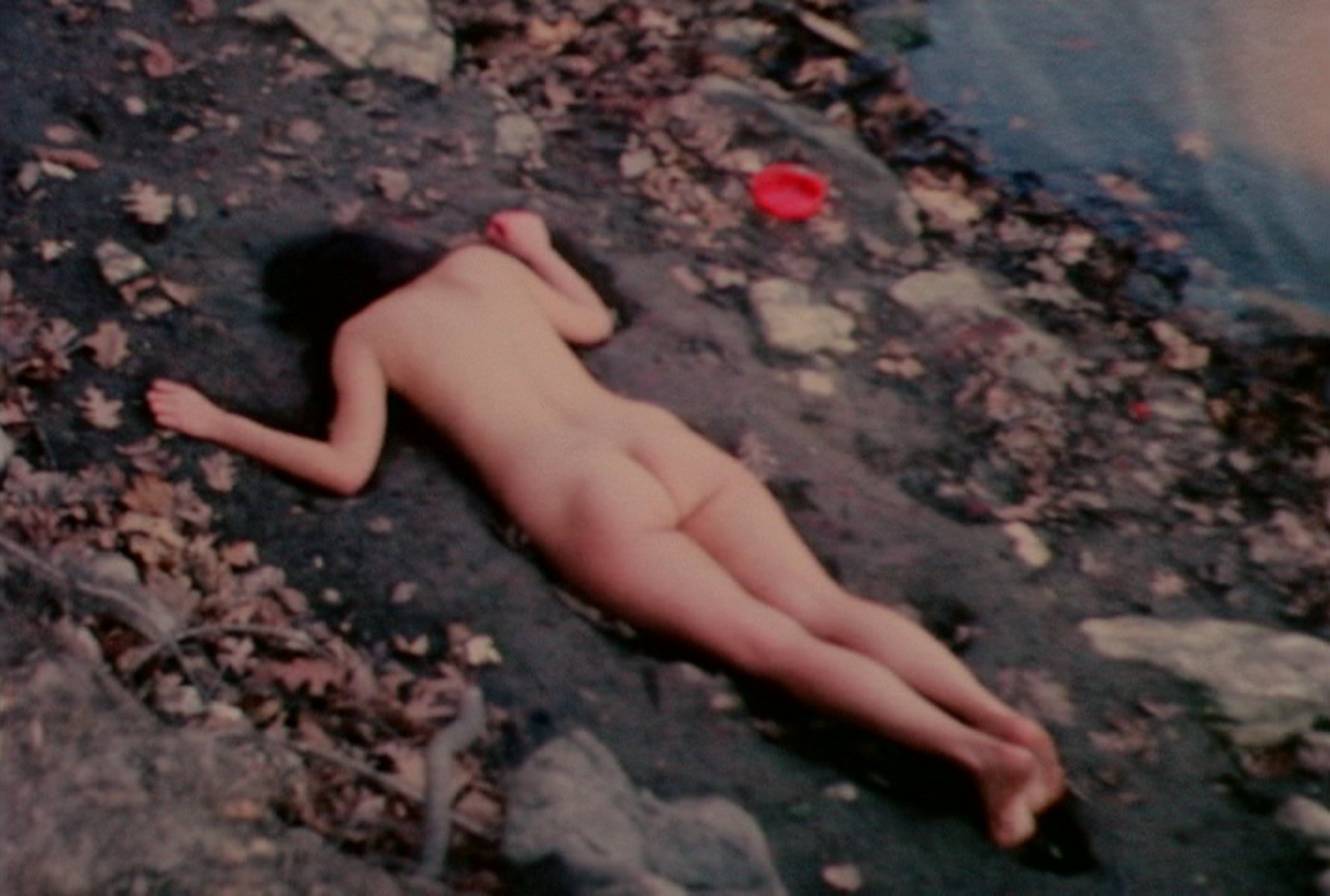 Corazón de Roca con Sangre (1975) - Ana Mendieta