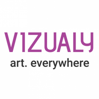 Logo Vizualy