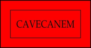 Galería Cavecanem
