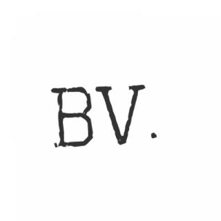 BV-Bea Villamarín