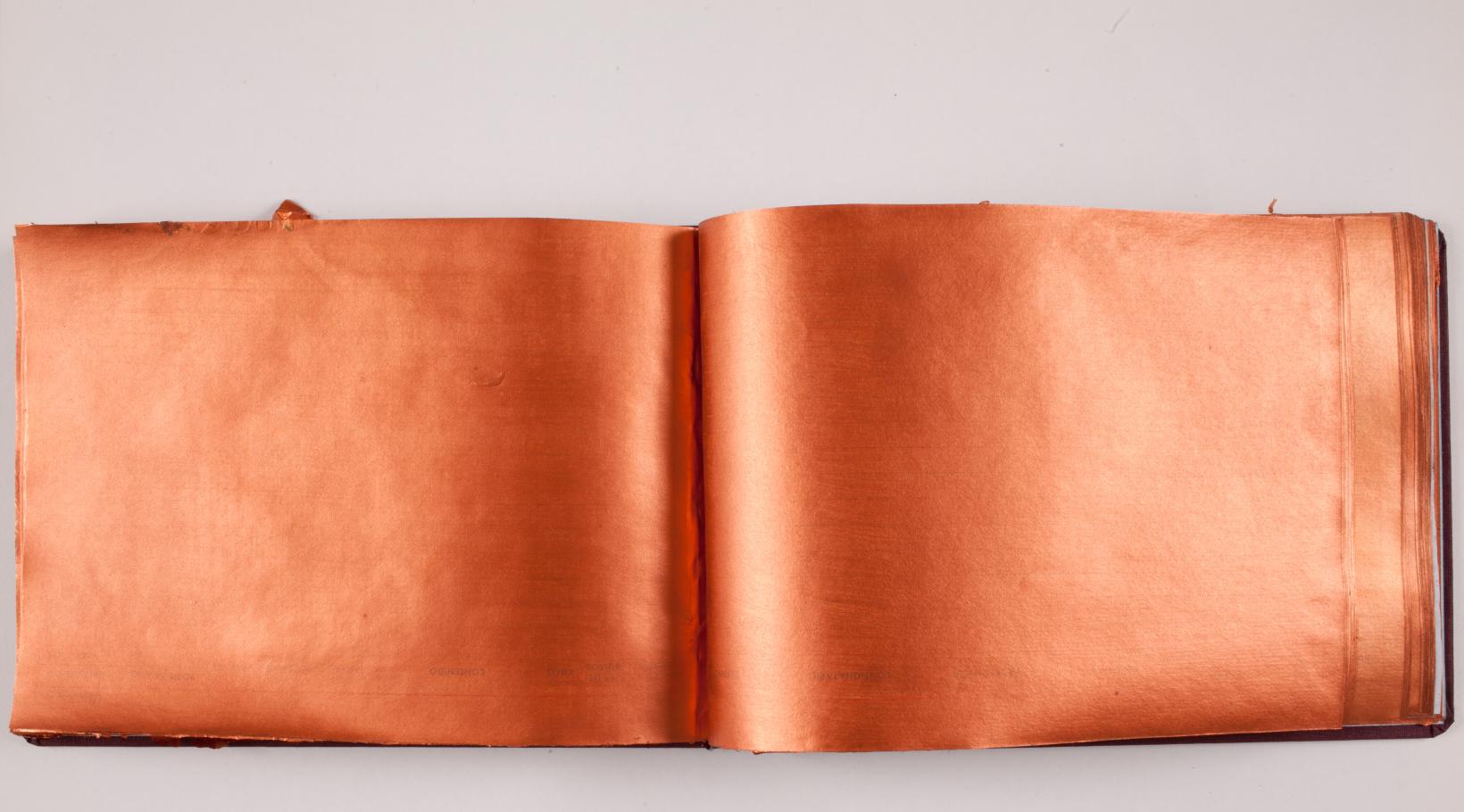 Libro cobre (2018) - Rosell Meseguer