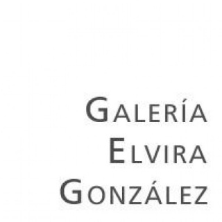 Galería Elvira González