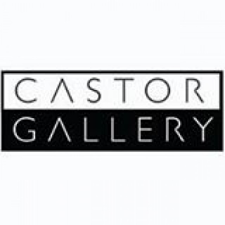 Castor Gallery